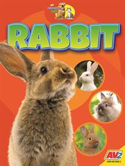Rabbit cover image