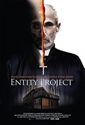 Entity Project cover image
