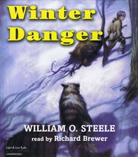 Cover image for Winter Danger
