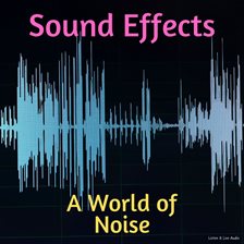 Cover image for A World of Noise