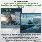 An audio bundle: storm & deep blue cover image