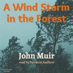 A wind storm in the forest cover image