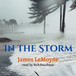 In the storm cover image