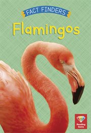 Flamingos cover image