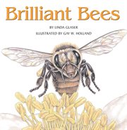 Brilliant bees cover image