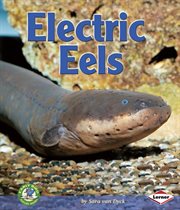 Electric eels cover image