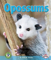 Opossums cover image