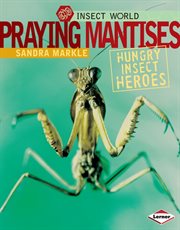 Praying mantises: hungry insect heroes cover image