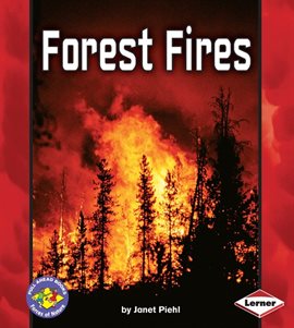 Cover image for Forest Fires
