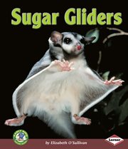 Sugar gliders cover image
