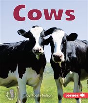 Cows cover image