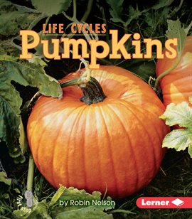 Cover image for Pumpkins