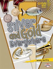 Silver and gold everywhere cover image