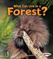 What can live in a forest? cover image