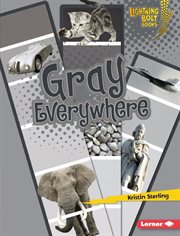 Gray everywhere cover image