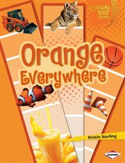 Orange everywhere cover image