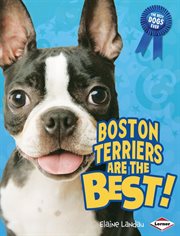 Boston terriers are the best! cover image