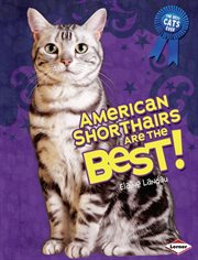 American shorthairs are the best! cover image