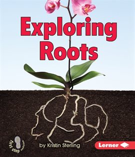 Cover image for Exploring Roots
