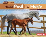 From foal to horse cover image