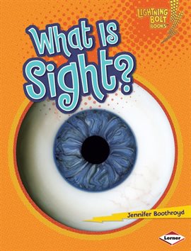 Cover image for What Is Sight?