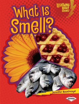 Umschlagbild für What Is Smell?