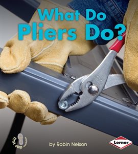 Cover image for What Do Pliers Do?