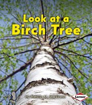 Look at a birch tree cover image