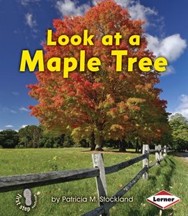 Cover image for Look at a Maple Tree
