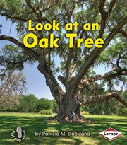 Look at an oak tree cover image