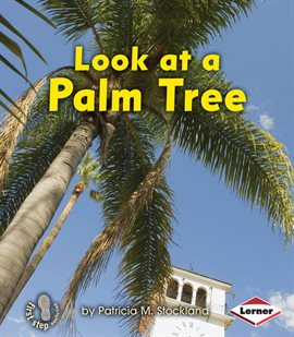 Cover image for Look at a Palm Tree
