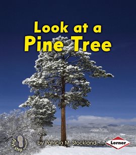 Cover image for Look at a Pine Tree