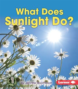 Cover image for What Does Sunlight Do?