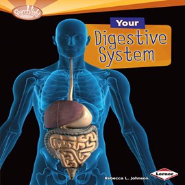 Cover image for Your Digestive System