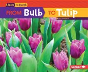 From bulb to tulip cover image