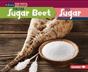 From sugar beet to sugar cover image