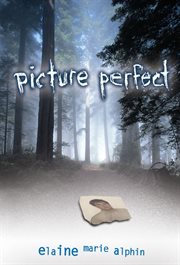 Picture perfect cover image