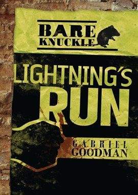 Cover image for Lightning's Run