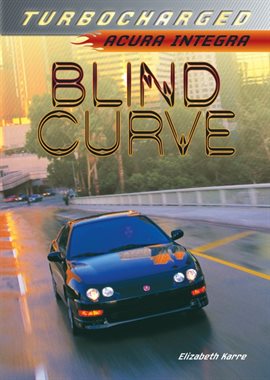 Cover image for Blind Curve