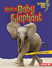 Meet a baby elephant cover image