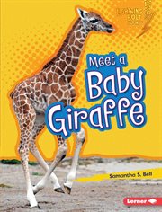 Meet a baby giraffe cover image