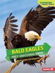 Bald eagles: prey-snatching birds cover image