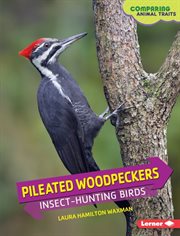 Pileated woodpeckers: insect-hunting birds cover image