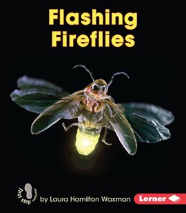 Cover image for Flashing Fireflies