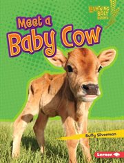 Meet a baby cow cover image