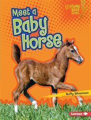 Meet a baby horse cover image