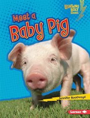 Meet a baby pig cover image