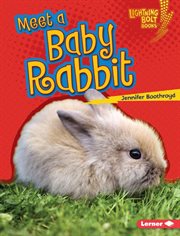 Meet a baby rabbit cover image