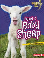 Meet a baby sheep cover image