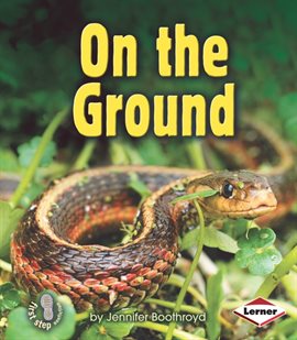 Cover image for On the Ground